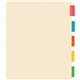 Business Source Color Tab Pocket Binder Dividers - Blank Tab(s) - 5 Tab(s)/Set - 9" Divider Width x 11" Divider Length - Letter 