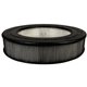 Honeywell True HEPA Replacement Filter - For Air Purifier