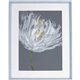 Lorell White Flower Design Framed Abstract Art - 27.50" x 35.50" Frame Size - 1 Each - Gray, White