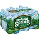Poland Spring Bottled Spring Water - Ready-to-Drink - 16.91 fl oz (500 mL) - Bottle - 24 / Carton