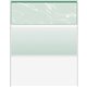 DocuGard High Security Green Marble Business Checks with 11 Features to Prevent Fraud - Letter - 8 1/2" x 11" - 24 lb Basis Weig