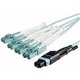 StarTech.com 10m (30ft) MTP(F)/PC to 4x LC/PC Duplex Breakout OM3 Multimode Fiber Optic Cable, OFNP, 40G, 8F Type-A - 10m (33ft)
