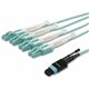 StarTech.com 5m (15ft) MTP(F)/PC to 4x LC/PC Duplex Breakout OM3 Multimode Fiber Optic Cable, OFNP, 40G, 8F Type-A - 5m (16.4ft)