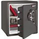 Sentry Safe Combination Fire/Water Safe - 1.23 ft³ - Dual Key, Combination, Digital Lock - 4 Live-locking Bolt(s) - Fire Resista