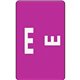 Smead AlphaZ ACCS Color-Coded Labels - "E" - 1" Width x 1 5/8" Length - Purple - 10 / Sheet - 100 / Pack