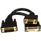 StarTech.com 8in Wyse DVI Splitter Cable - DVI-I to DVI-D and VGA - M/F - Cost-effective replacement for your Wyse 920302-02L sp