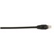 Black Box Connect Cat.6 UTP Patch Network Cable - 10 ft Category 6 Network Cable for Network Device - First End: 1 x RJ-45 Netwo
