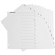 Business Source Jan-Dec Monthly Table of Contents Index Dividers - Printed Tab(s) - Month - January-December - 12 Tab(s)/Set - 8