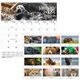 House of Doolittle Earthscapes Wildlife Wall Calendars - Julian Dates - Monthly - 1 Year - January 2024 - December 2024 - 1 Mont