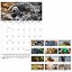 House of Doolittle Earthscapes Wildlife Monthly Wall Calendar - Julian Dates - Monthly - 12 Month - January 2024 - December 2024