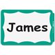 C-Line Self-Adhesive Name Tags - Green Border, Peel & Stick, 3-1/2 x 2-1/4, 100/BX, 92263