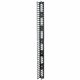 APC by Schneider Electric Vertical Cable Manager for NetShelter SX 750mm Wide 42U (Qty 2) - Cable Pass-through - Black - 1 - 42U
