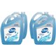 Dial Spring Water Scent Foaming Hand Wash - Spring Water ScentFor - 1 gal (3.8 L) - Kill Germs - Hand - Blue - 4 / Carton